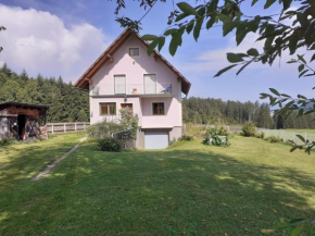 schöne Ferienwohnung